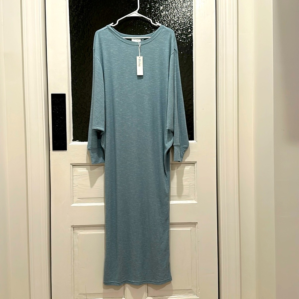Brand New Bluivy Long Sleeve Maxi Dress!